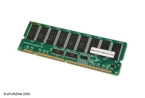 256 MB ECC SDRAM